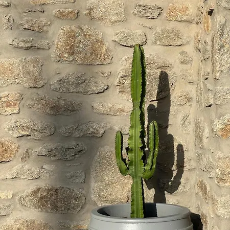 Anna * Elia (Mykonos)